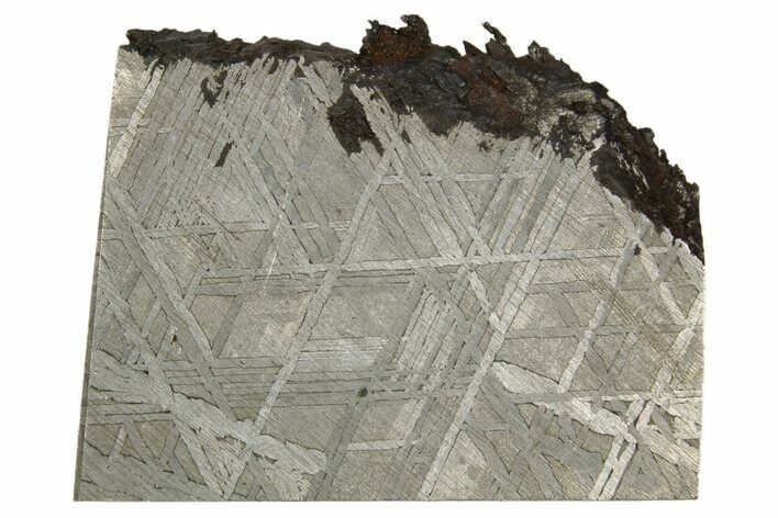 Etched Muonionalusta Meteorite Slice ( g) - Sweden #320309